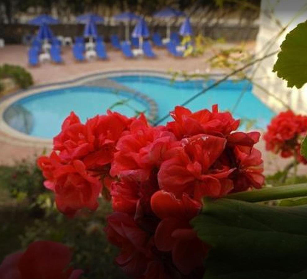 Parigoria Lili Apartments,Oasis 2,5 Km From Hania Center מראה חיצוני תמונה