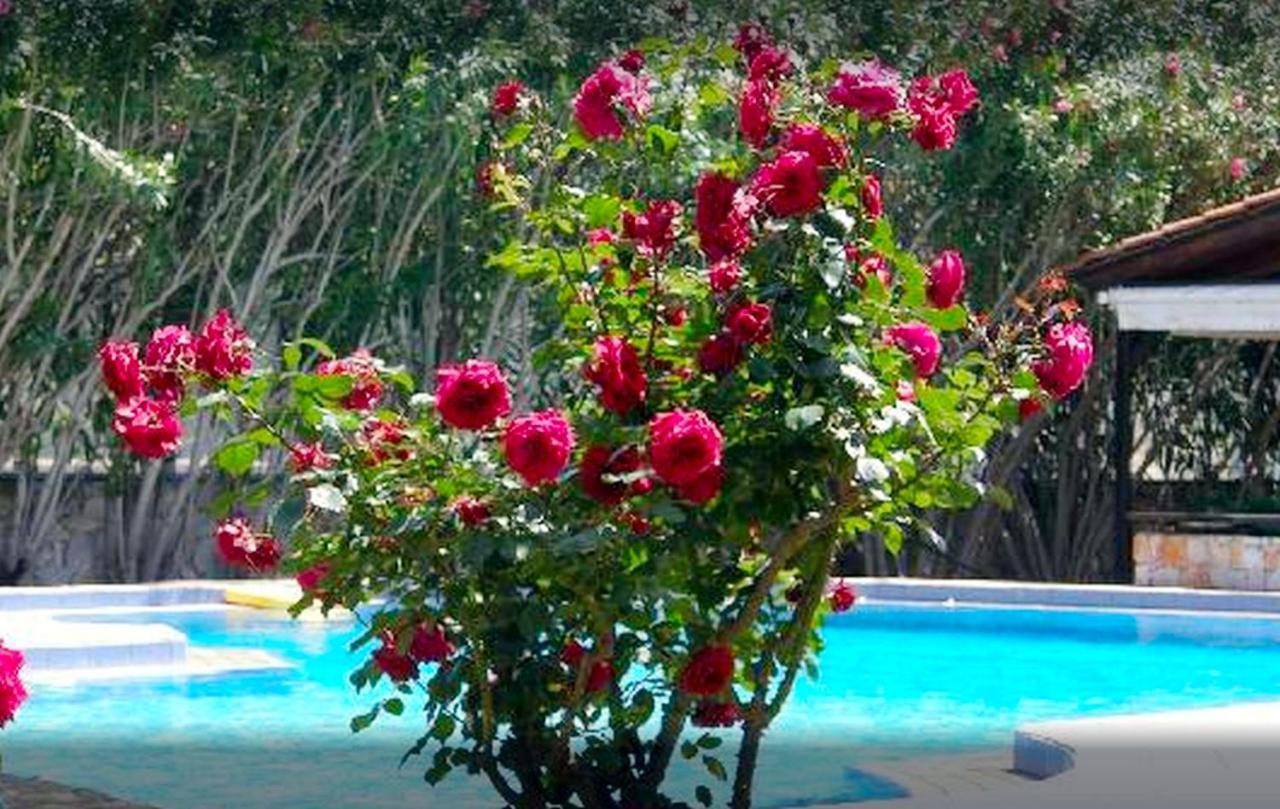 Parigoria Lili Apartments,Oasis 2,5 Km From Hania Center מראה חיצוני תמונה