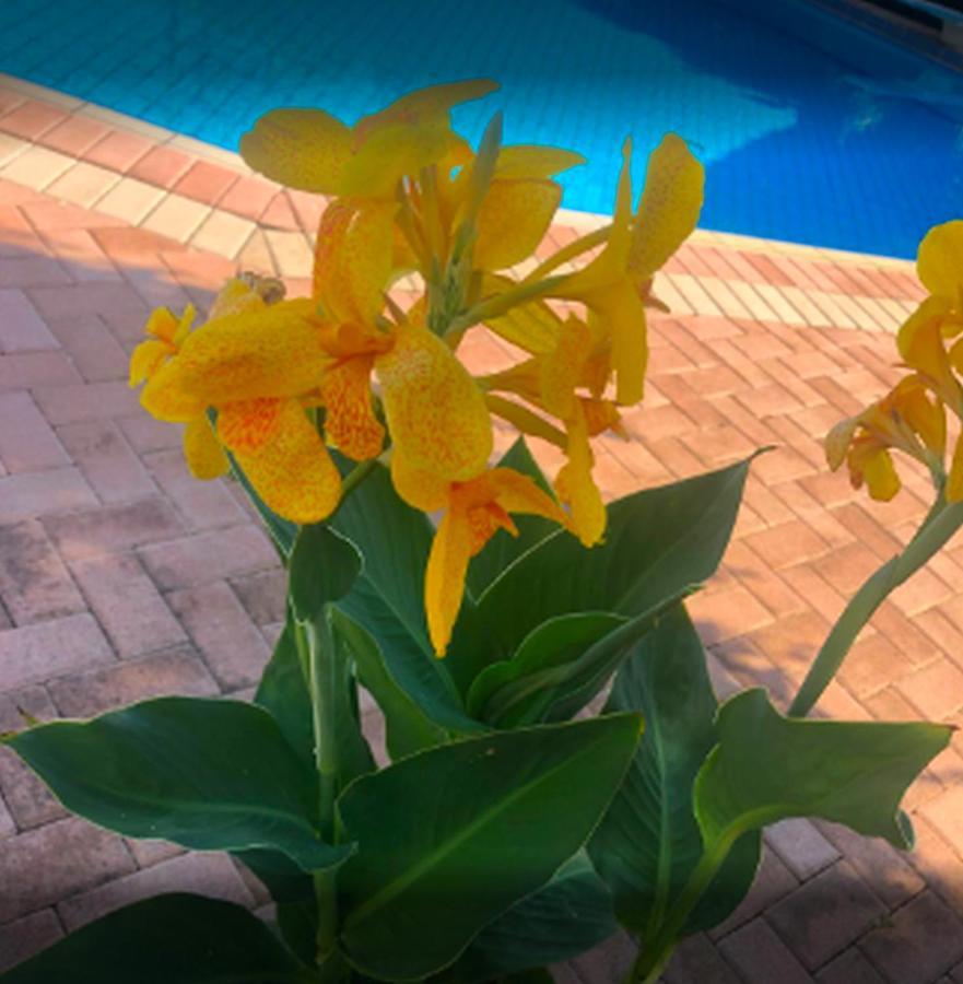 Parigoria Lili Apartments,Oasis 2,5 Km From Hania Center מראה חיצוני תמונה